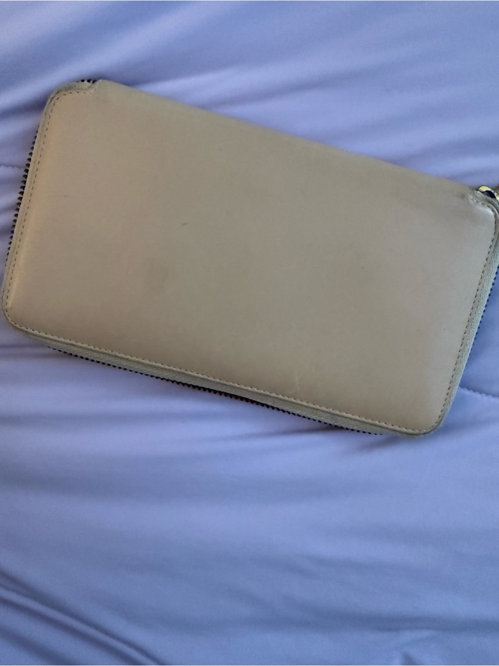 Everlane Light Nude/Beige Zip Wallet